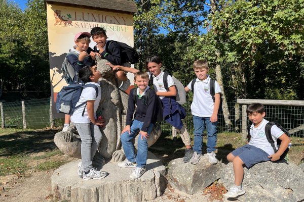 P1.JPG
